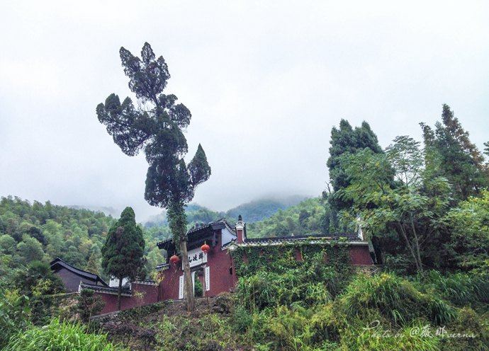 【江西 萍乡】雨中登杨岐寺,感受烟雨风情