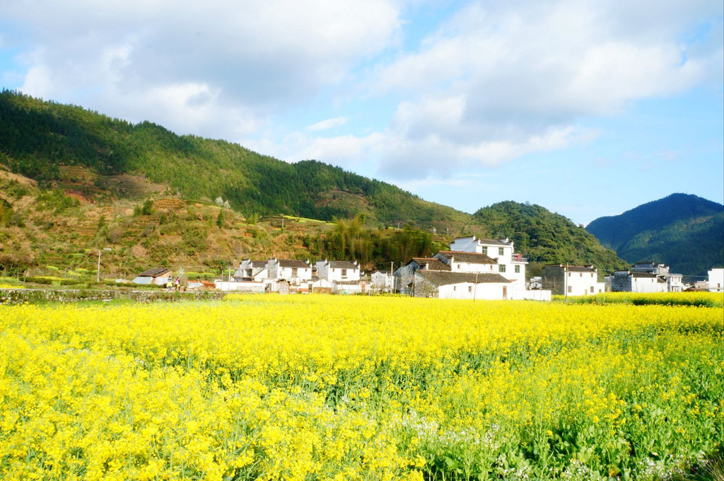 婺源风景区