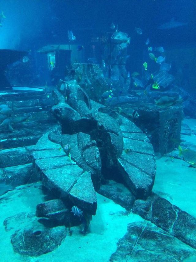 迪拜水族馆——寻找亚特兰蒂斯失落的空间