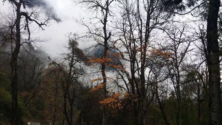 从泸沽湖徒步,搭车稻城亚丁,康定,泸定,海螺沟