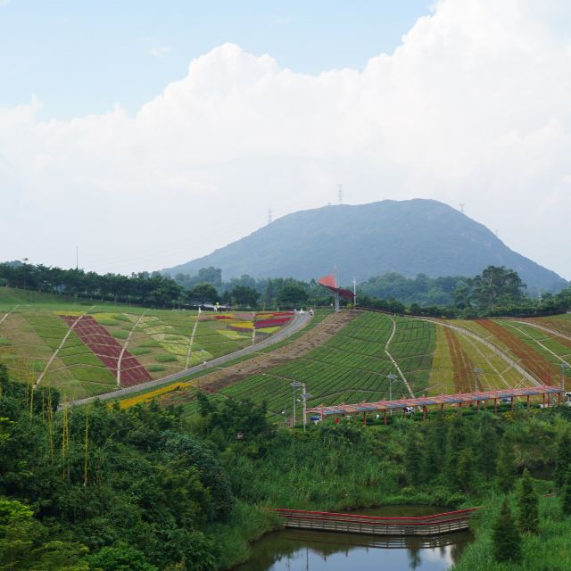 深圳东部华侨城旅游全攻略(大侠谷,茶溪谷,大华兴寺