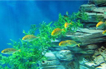 【携程攻略】无锡海洋馆门票,无锡海洋馆攻略