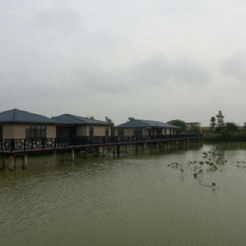 泗洪洪泽湖湿地公园_泗洪湿地公园门票收入(2)