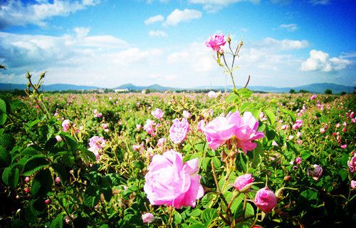 三亚有什么好玩的 三亚有什么好吃的 三亚旅游