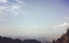 如皋长江药用植物园天气预报,历史气温,旅游指