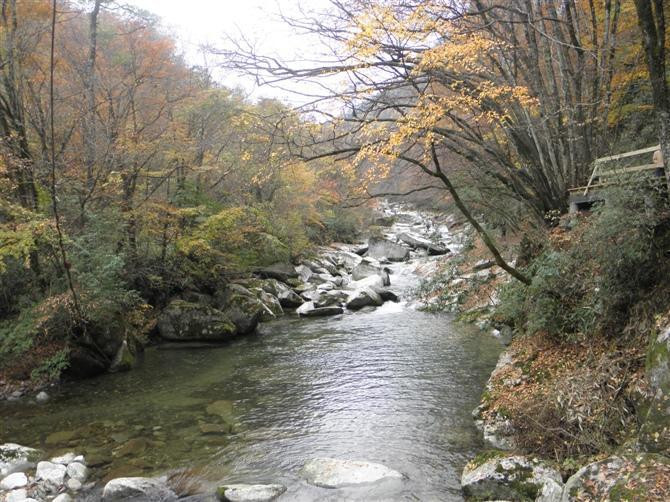 光雾山—四川巴中