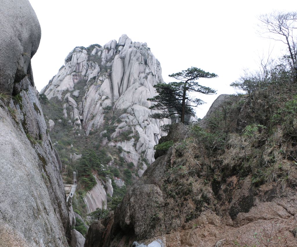 5公里,这段路叫莲花梗,沿途有飞龙松,倒挂松等名松及黄山杜鹃.