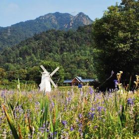 南丹山风景区门票,佛山南丹山风景区攻略\/地址