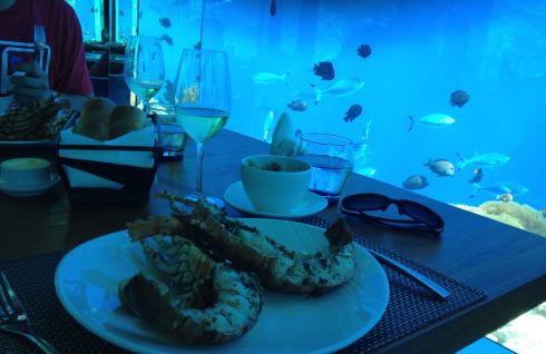 马尔代夫AKV岛,天堂一样的地方 - 马尔代夫游