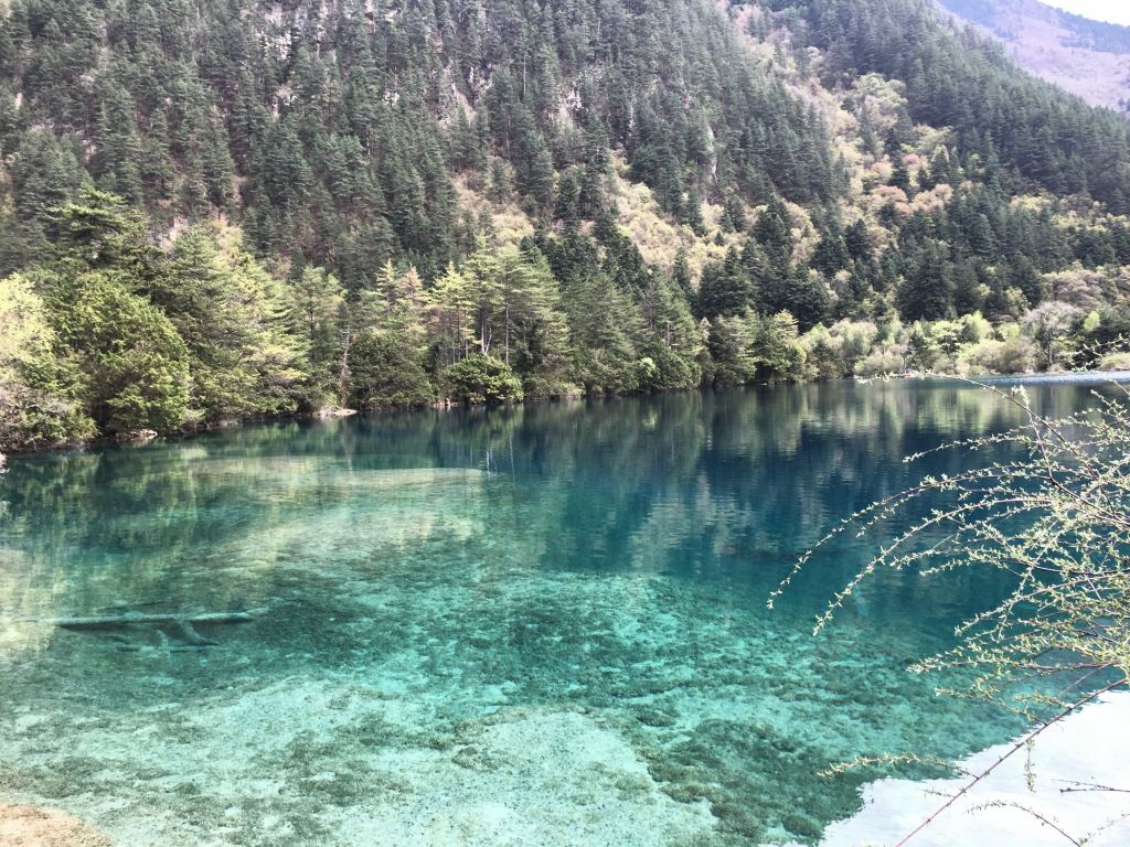 我的广元九寨沟之旅(第六篇)游九寨树正群海-卧龙海