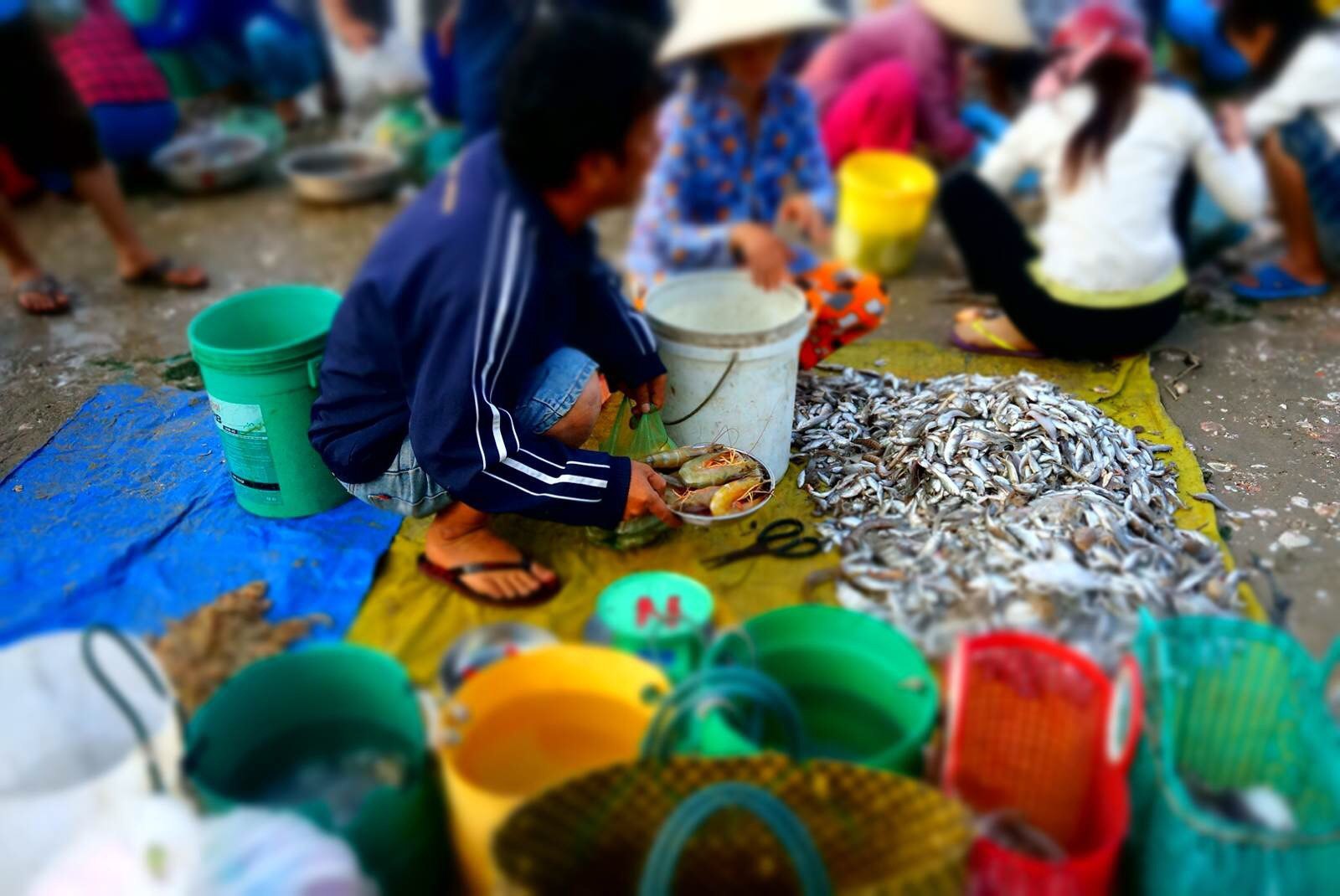 大的海获估计是卖游客的,其实跟小海鲜集市一样,大块头的渔获在小渔民