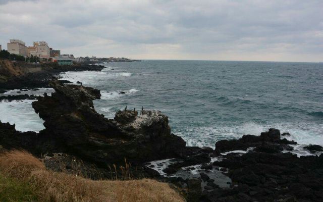 #春节在路上#济州岛购物半日游 - 济州岛游记攻