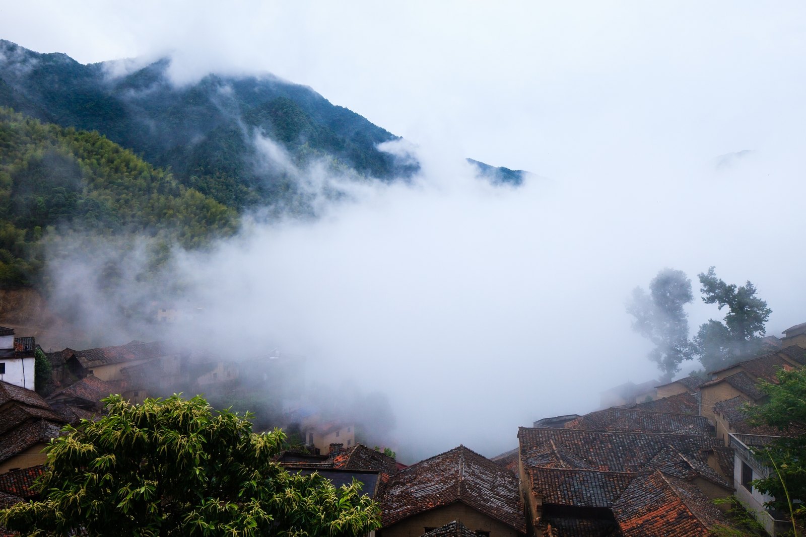 松阳县城 松阳平安保险