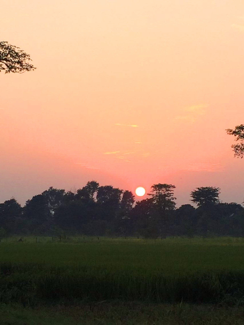 夕阳西下 美啊 奇旺国家公园