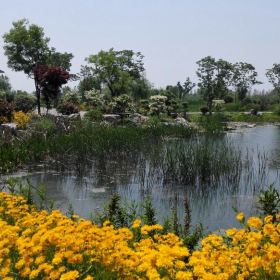 泗洪洪泽湖湿地公园_泗洪湿地公园门票收入(2)