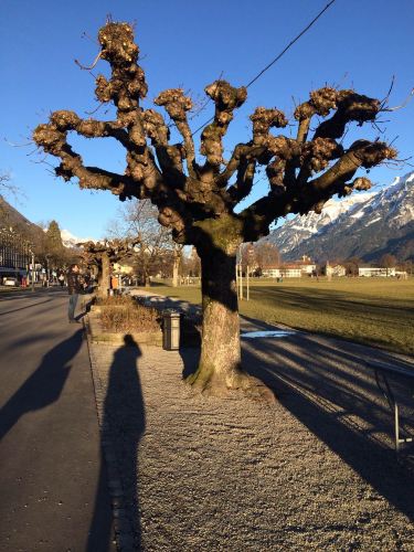 欧洲冬日行~德法意瑞12天 - 巴黎游记攻略