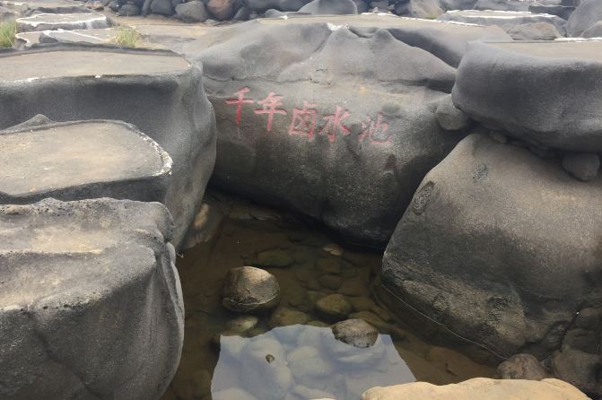海南自驾游9:〔西线〕儋州--洋浦攻略古千年-13wwe盐田图片