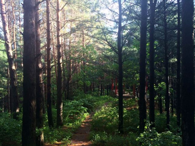 小兴安岭植物园