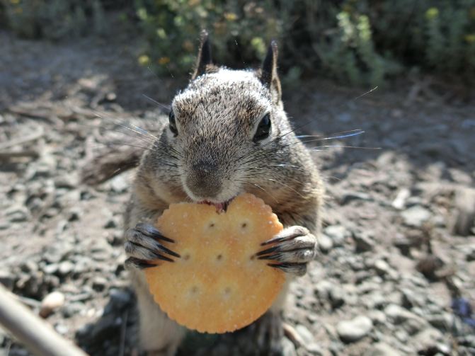 自然与人文科技之旅--美国西海岸1号公路12天