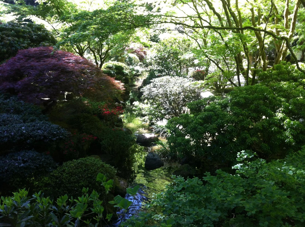 优雅之城波特兰portland