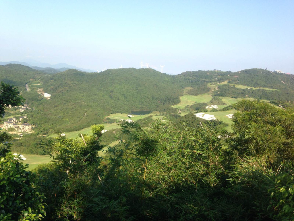 又到三洲田