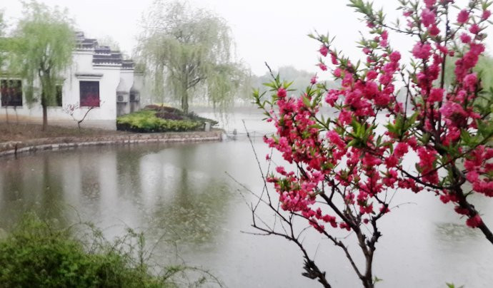 桃花春雨绿江南