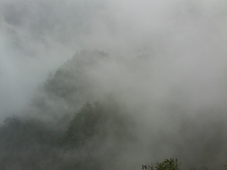 秋游氤氲(广西)大明山随笔