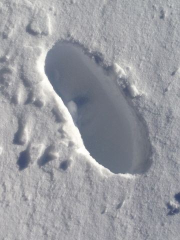 11月新西兰南北岛11天携程跟团游 - 基督城游