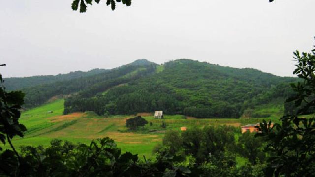 首先更正一下携程的失误吧,它不是什么4A级景区,仅仅是一座前期开采后期荒废的山头,不需要门票。周末,约了几个小伙伴出去游玩,从石家庄开发区倒车,两个多小时才到所谓的西山森林公园南门,没有人经营管理那种。十一点开始爬山,找路找了好久,没有指示牌。不知道怎么回事,走上了未经开采的山路,当时就后悔了,没有穿长裤,好多荆棘,其实最怕的是途中会遇到蛇。途中也被从草割伤,现在还没有恢复呢。那一段路,我们用了一个小时不到,找到了上山的台阶,找到台阶的那一刻是哥伦布发现新大陆的喜悦。再回味那段荆棘坎坷的路,别有一番滋味
