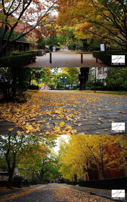 墨尔本大学1日游,那些年梦想起飞的地方。写在