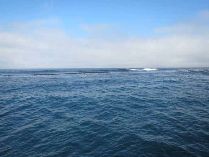 10天游遍非洲最南端-南非小资跟团游,太阳城、