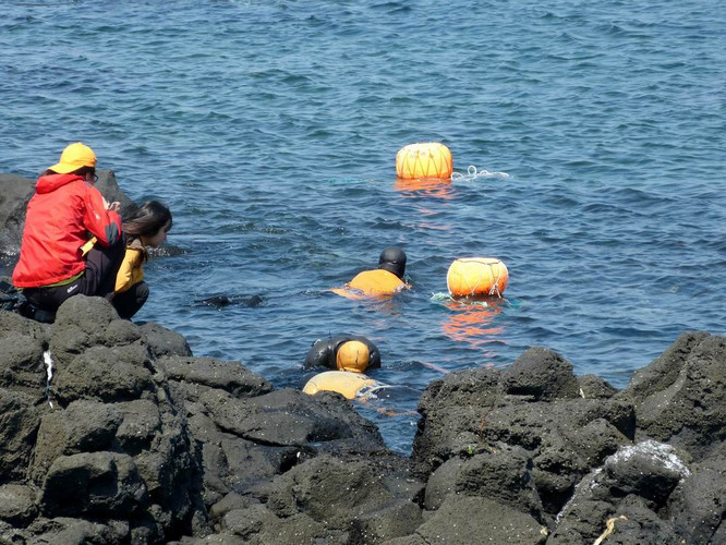 据说,济州岛的海女目前的年龄都在70岁以上.