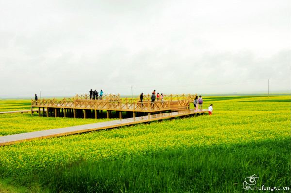 大美青海、甘肃---七色丹霞之旅 - 青海游记攻略