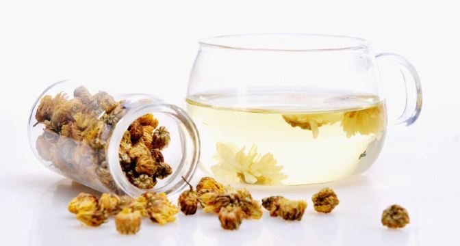 《奔跑吧,兄弟》赏中国十大名花--菊花 - 麻城游