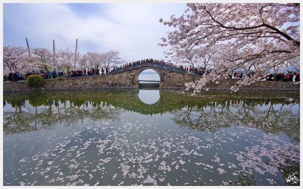 最无锡·最本土旅游攻略【全新美食地图】