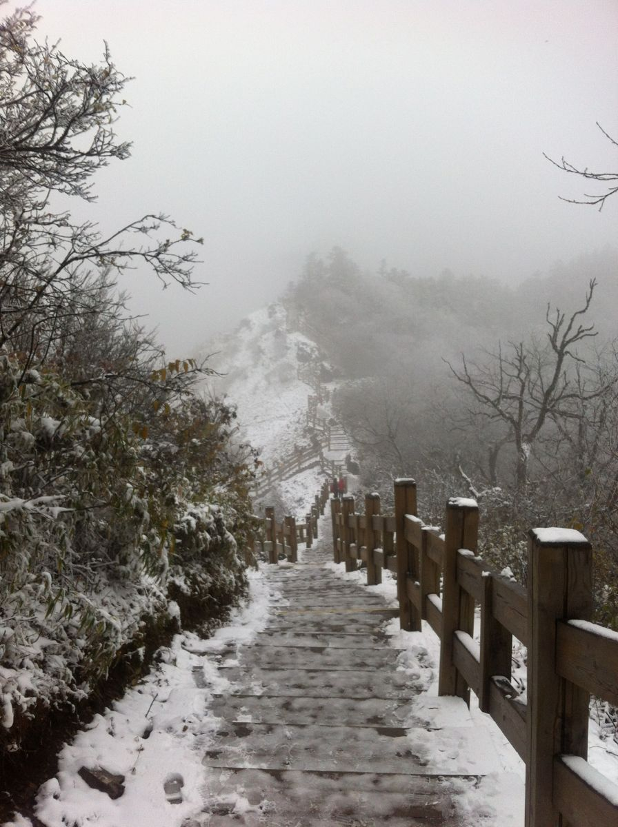 到西岭雪山去看雪 - 西岭雪山游记攻略【携程攻略】