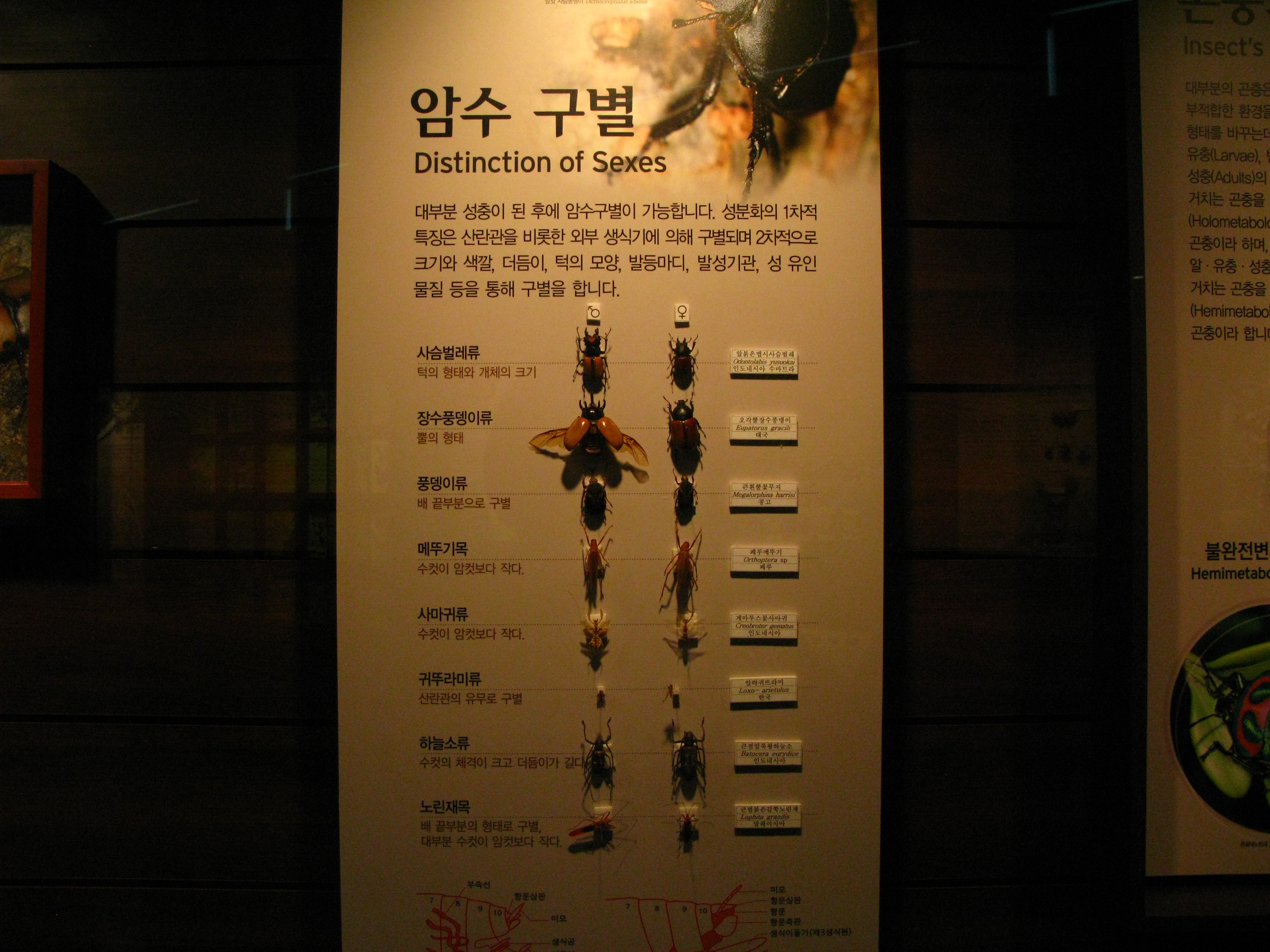 中国地图手抄报创意_第5页_小学生手抄报