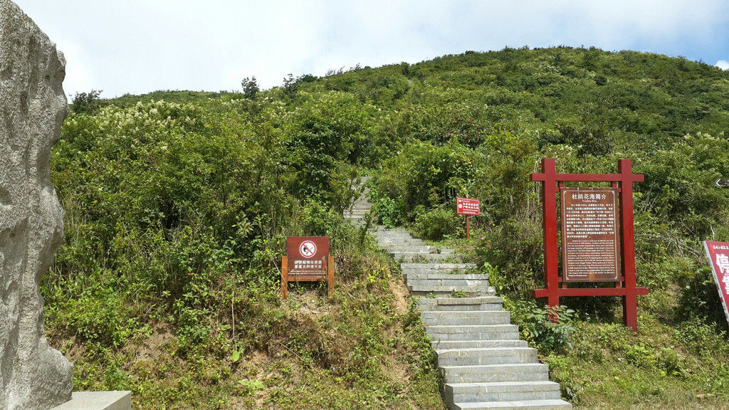 湖南永州自助3日游--《阳明山森林公园》