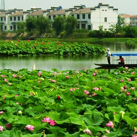 奎潭湖门票,芜湖奎潭湖攻略/地址/图片/门票