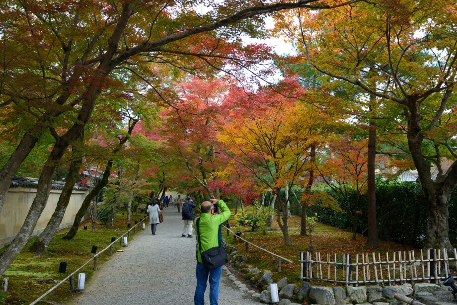 去天龙寺路上的小路 天龙寺