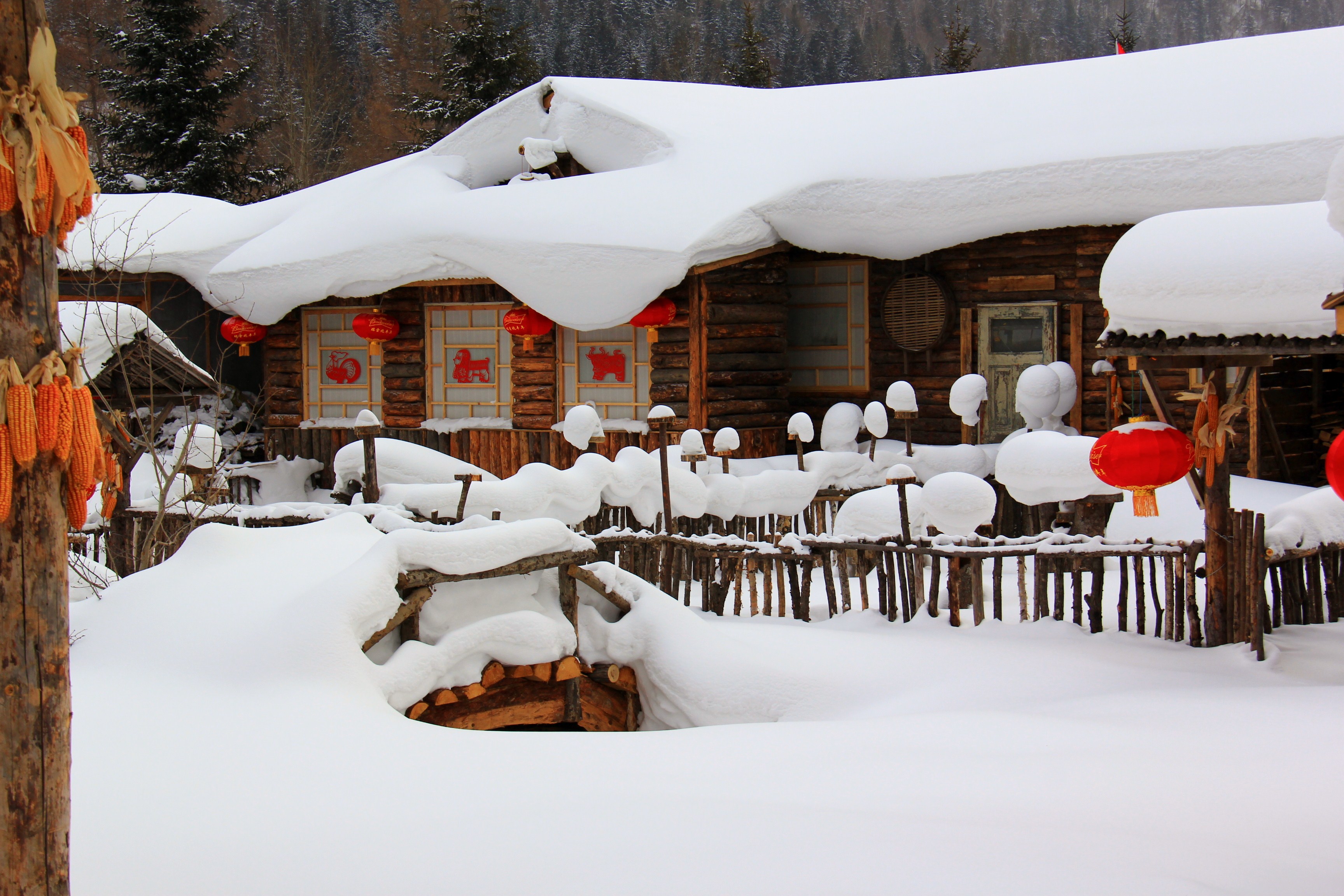 东北二人转(长白山,雪乡,哈尔滨冬游记)