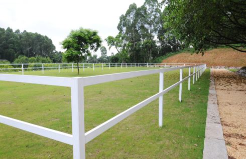 万万没想到 广州还有这么个好地方(四海马术游