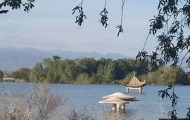 阿勒泰阿苇滩湖旅游区天气预报,历史气温,旅游