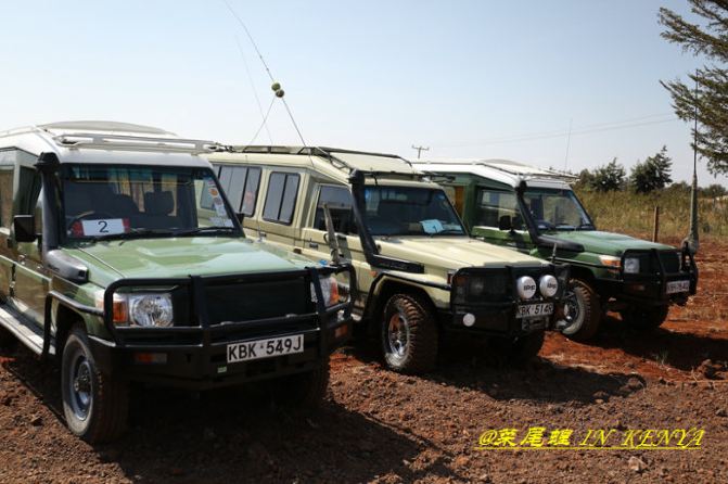 非洲肯尼亚狂野动物大迁徙10天跟团自驾摄影