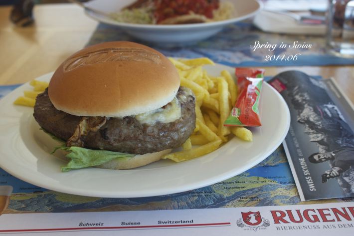 3日火车自由行,游遍苏黎士、伯尔尼、日内瓦、