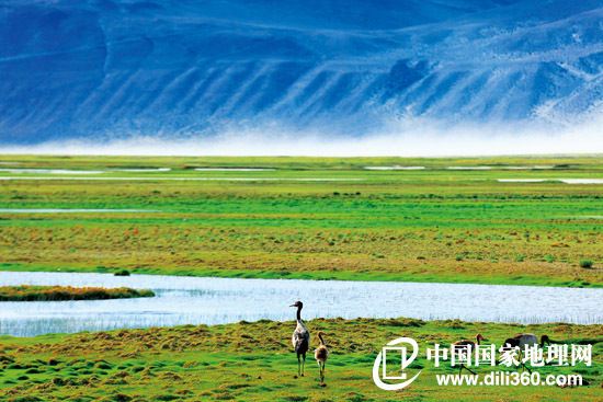 今年夏天,咱们一起自驾去西藏 - 拉萨游记攻略