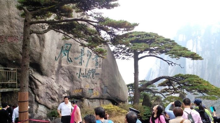 问答 结伴向导 周末游 口碑榜 特卖汇 大名鼎鼎的迎客松就在玉屏楼旁