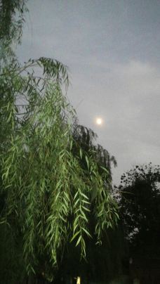 【携程攻略】新乡百泉湖景区图片,新乡百泉湖