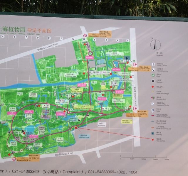上海植物园(春天里的美丽姐姐们)