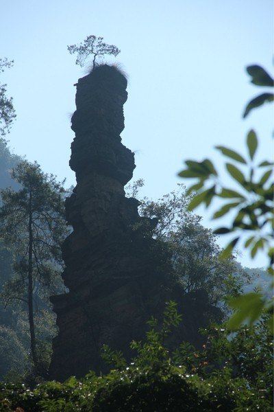 蜡烛峰——据说峰顶是一棵杜鹃,春天开花后是红色的.